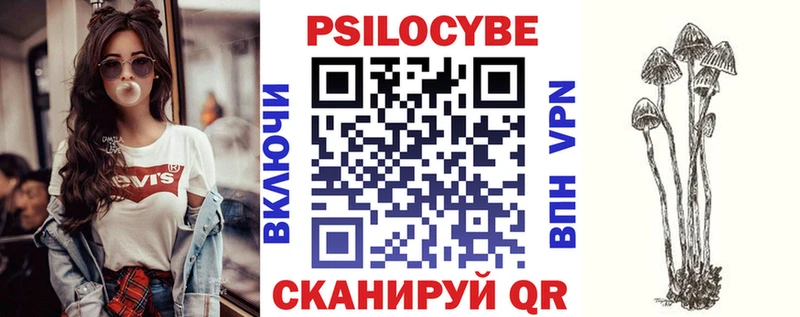 Псилоцибиновые грибы Psilocybe  Купить  Владикавказ 